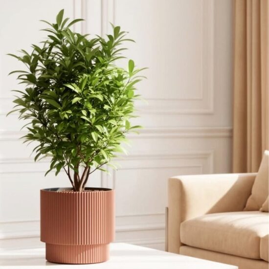 Puķu podi un aksesuāri